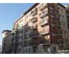 Appartamento in Affitto a 800€ - Roma - Immagine 3