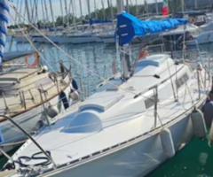 Barca a vela natante modello TRAPPER 500 - Immagine 1