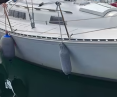 Barca a vela natante modello TRAPPER 500 - Immagine 2