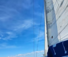 Barca a vela natante modello TRAPPER 500 - Immagine 3