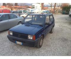 Fiat Panda - Carrara - Immagine 1