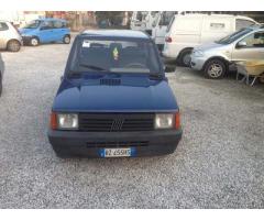 Fiat Panda - Carrara - Immagine 2