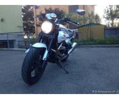 Moto Guzzi Griso 8V - Immagine 2