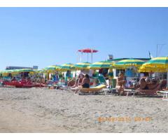 Torre canne con wifi - Immagine 3