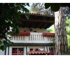 Maggio o giugno 2016 appin villa con uso del fresco giardino - Immagine 1