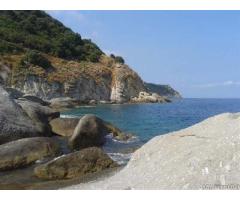 Fresca e tranquilla casetta nel verde a pochi passi dal mare - Immagine 6