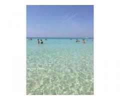 Appartamento vista mare gallipoli - Immagine 1