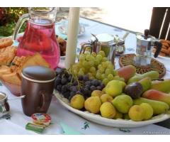 Bed  breakfast villa Apollonia (vicino Gallipoli) - Immagine 6