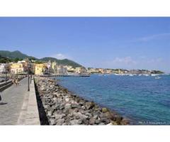 Bel monolocale a Ischia last minute - Immagine 6