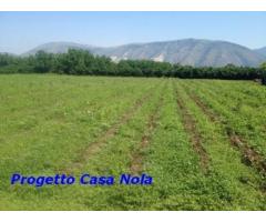 Vendita Agricolo in Via Boscofangone - Immagine 1