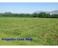 Vendita Agricolo in Via Boscofangone - Immagine 3