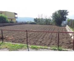 Vendita Agricolo in Via Marmolito - Immagine 1