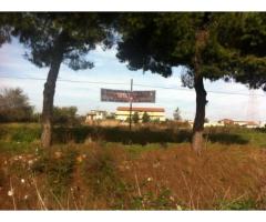 RifITI 019-5012 - Terreno Agricolo in Vendita a Giugliano in Campania di 10000 mq - Immagine 1