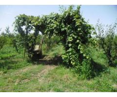 RifITI 013-AA21356 - Terreno Agricolo in Vendita a Giugliano in Campania - Casacelle di 1100 mq - Immagine 8