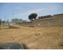 RifITI 013-AA25575 - Terreno Agricolo in Affitto a Giugliano in Campania - Varcaturo di 1700 mq - Immagine 10