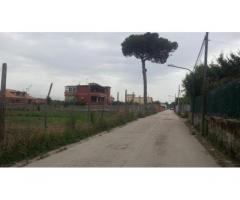 RifITI 019-20355 - Terreno Agricolo in Vendita a Giugliano in Campania - Varcaturo di 2000 mq - Immagine 2