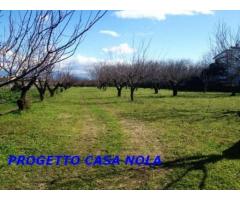 Vendita Agricolo in Via Camillo Cucca - Immagine 1