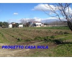 Vendita Agricolo in Via Camillo Cucca - Immagine 3