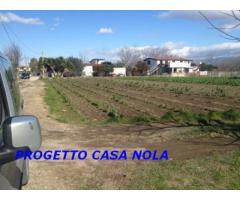 Vendita Agricolo in Via Camillo Cucca - Immagine 4