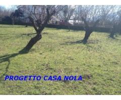 Vendita Agricolo in Via Camillo Cucca - Immagine 6