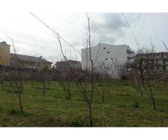 RifITI 019-22311 - Terreno Industriale in Vendita a Villaricca di 2000 mq - Immagine 6