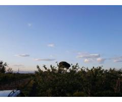 Terreno Agricolo in Vendita a Giugliano in Campania di 1 mq - Immagine 7