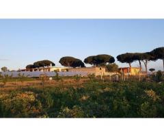 Terreno Agricolo in Vendita a Giugliano in Campania di 1 mq - Immagine 10