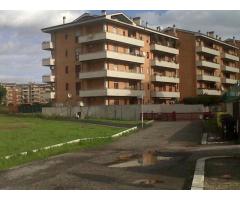 RifITI 003-AA29/618 - Appartamento in Vendita a Pomezia di 50 mq - Immagine 9
