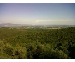 Rif: BEN - Villa in Vendita a Civitella in Val di Chiana - Immagine 10