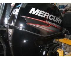 MERCURY F 40/60   2014 - Immagine 3