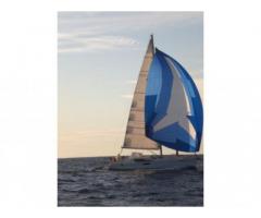 barca a vela JEANNEAU Sun Odyssey 50 DS Perform anno 2010 lunghezza mt 15 - Immagine 2