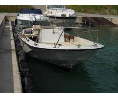 Boston Whaler 18 outrage - Immagine 2