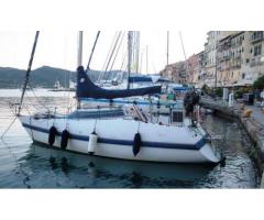 Barca vela 8 mt Mattia&Cecco Cecco8 usata - Immagine 1