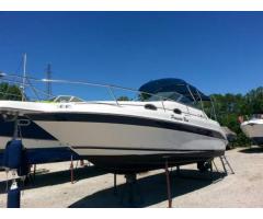 Fantastico Sea Ray 250 - Immagine 1