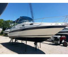 Fantastico Sea Ray 250 - Immagine 2