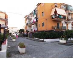 Appartamento a Santa Maria del Cedro in provincia di Cosenza - Immagine 4