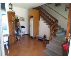 Vendita appartamento mq. 182 - Zona Terrazzano - Immagine 3