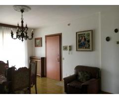 rif: CP141016 - Appartamento in Vendita a Rottofreno - Immagine 5