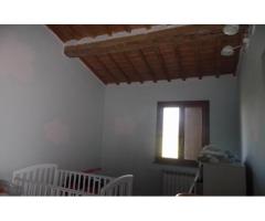 Appartamento in vendita a SAN FREDIANO A SETTIMO - Cascina 70 mq
rif: 375611 - Immagine 4