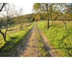 Colonica/casale in vendita a PERIGNANO - Casciana Terme Lari 550 mq - Immagine 3