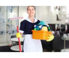 colf-badante-donna delle pulizie domestiche e stiro 8 euro-320/3167479 - Immagine 1
