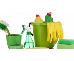 donna delle pulizie domestiche e stiro - Immagine 2