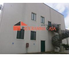 Capannone industriale in vendita a Pomezia via vaccareccia c11 - Immagine 2