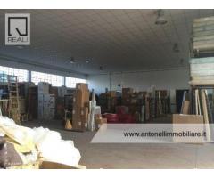 Ciampino -  Capannone C1/C2/C3 € 7.000 CA906 - Immagine 4