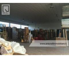 Ciampino -  Capannone C1/C2/C3 € 7.000 CA906 - Immagine 5