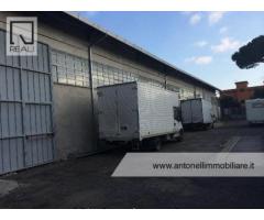 Ciampino -  Capannone C1/C2/C3 € 7.000 CA906 - Immagine 8