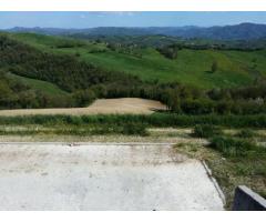 Agricolo in vendita a Parma - Immagine 1