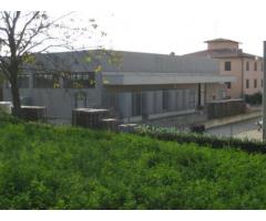 Rif: KC capannone Basilicanova - Capannone in Affitto a Montechiarugolo - Immagine 1