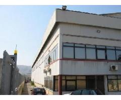 Capannone industriale zona San Leo Pellaro (Rc) VR13703 - Immagine 7