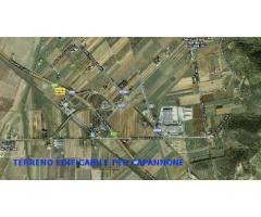 Capannone industriale in vendita a RIOTORTO - Piombino 4500 mq  Rif: 152048 - Immagine 1